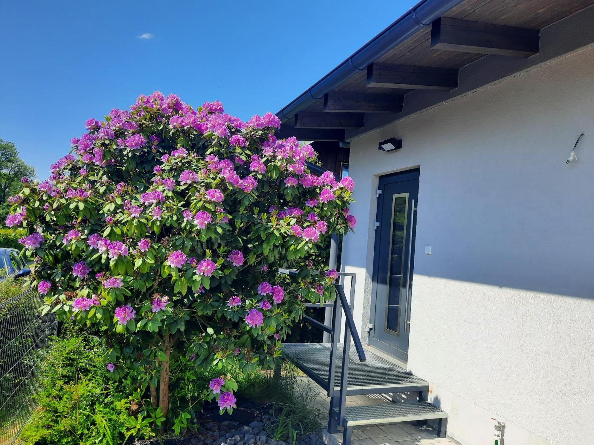 Bungalov Na Brehu Labe S Vlastnim Molem Pardubice Extérieur photo